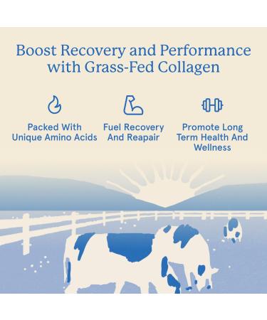 Equip Foods Grass Fed Collagen Powder | Hydrolyzed Bovine Collagen Peptides with Amino Acids | Prime Beef Collagen for Healthy Joints Skin & Nails | Non-GMO Paleo Friendly | 30 Servings Chocolate - Buy Online on GoSupps.com