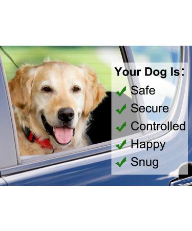 BWOGUE Pet Seat Belt with Adjustable Safety Harness - Black - Buy Online on GoSupps.com