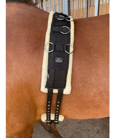 Preto Horse Training Body Roller or Lunging Girth adjustable synthetic strong tear resistant pp nylon webbing fleece/faux fur padded exercise lunge roller girth anti-chafing equestrian Cob Full Pony - Buy Online on GoSupps.com
