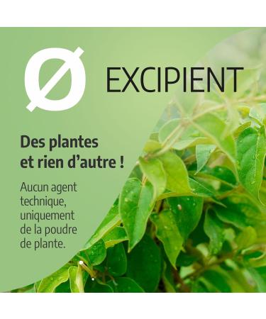 Gymnema 250mg - 200 capsules - Buy Online on GoSupps.com