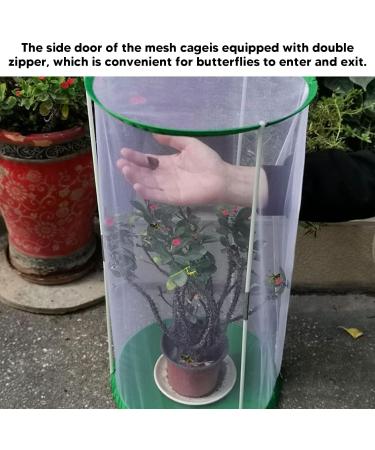 CHICIRIS Butterfly Habitat Cylindrical Monarch Butterfly Enclosure Clear Insect Cage Terrarium 12.4 x 12.4 x 15.7in - Buy Online on GoSupps.com