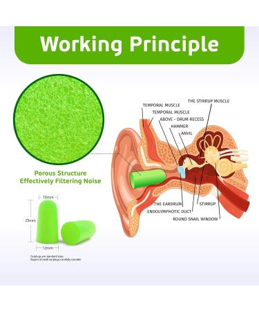100 Pcs Soft Foam Ear Plugs - Noise Cancelling Disposable for Sleeping Travel Shooting & More | Shuaiguoqi Green Earplugs - Buy Online on GoSupps.com