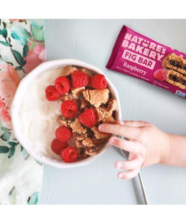 Nature's Bakery Whole Wheat Fig Bars - 24 Twin Pack, 2oz per Fig, 24 Count - Buy Online on GoSupps.com