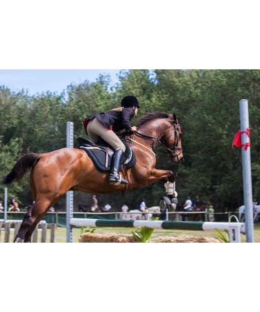 Premium Genuine Leather 18 Horse Crop Jump Bat with Black Handle - Equestrian Fiberglass Rod for English Training - Buy Online on GoSupps.com