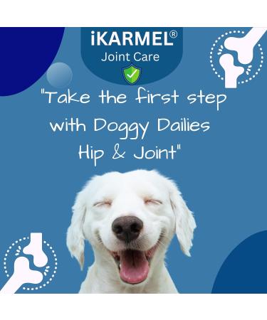 iKarmel Hip and Joint Care Supplements for Dogs - Glucosamine, Chondroitin, Green-Lipped Mussels - Senior to Puppy Treats for Stiff Joints (180 Chews) - Buy Online on GoSupps.com