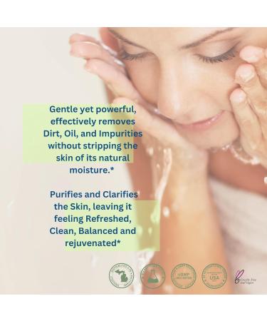 Deme-Tea Japanese Green Tea 2 in 1 Make-Up Remover & Facial Cleanser | Aloe Vera Cucumber Extract Plant-Based | Made in USA - Buy Online on GoSupps.com