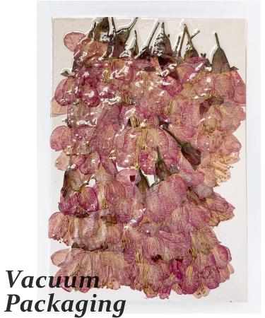 Dried Pressed Cherry Blossom Flowers - 60PCS Pink | Real Natural Dry Flowers for Resin Crafts & Candle Making - Buy Online on GoSupps.com