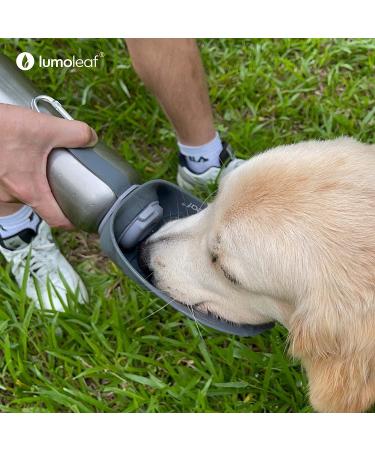 Leak-Proof LumoLeaf 35oz Dog Water Bowl | No-Spill Slow Feeder for Pets - Buy Online on GoSupps.com