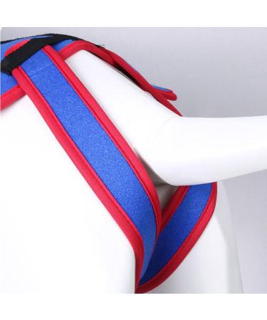 Small Dog Back Brace Spinal Support | Pet Support and Rehab Harness Soft Hip Leg Support D-Ring and Reflective Strips Back Protector Support Helps Hurt Relief Dogs Back - Buy Online on GoSupps.com
