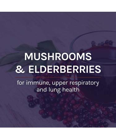 Fungi Perfecti Elderberry Plus Syrup 4 fl oz | Immune Support & Natural Wellness - Buy Online on GoSupps.com