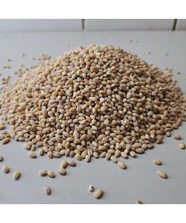 Premium Mills Barley Kernels - 5kg Whole Grain Fresh from R tze Mill - High-Quality Peeled Barley - Buy Online on GoSupps.com