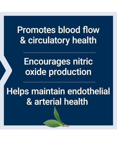 Life Extension NitroVasc Boost Blood Flow Supplement Nitric Oxide Support Heart Health Cardiovascular Support L-arginine Gluten-Free Non-GMO Vegetarian 1 Scoop 30 Servings - Buy Online on GoSupps.com