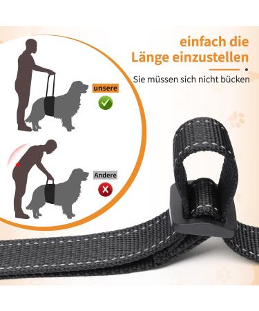 Premium Dog Harness for Hedge Aid | Comfortable & Durable Dog Gear for International Shipping - Buy Online on GoSupps.com