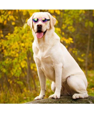 Luckxing Glasses for Dogs | Cat & Dog Barrel Glasses for Medium Dogs | Windproof Soft Eye Protection - Pink - Buy Online on GoSupps.com