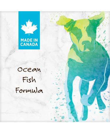 Nutrience Grain Free Ocean Fish Formula - 10 kg (22 lbs) Bag - Buy Online on GoSupps.com