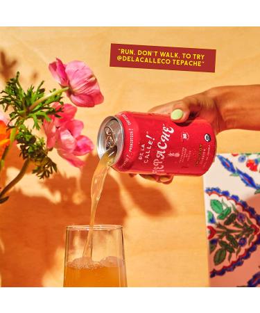 Organic Tepache Pineapple Beverage - Antioxidant Rich & Low Sugar (Chamoy) - Buy Online on GoSupps.com