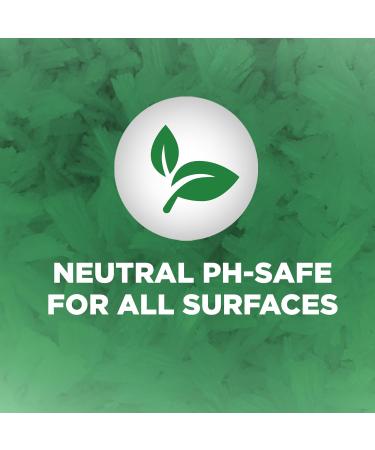 home stuff All Purpose Floor Cleaner 500ML Miracle Bathroom Cleaning Multi-Surface Cleaner for Kitchen Bathroom Remove Tough Stains Jasmine Scented 500ML - Buy Online on GoSupps.com