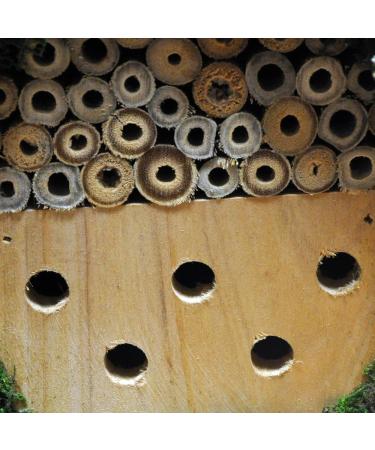 Natures Market Wooden Insect and Bee Hotel - Buy Online on GoSupps.com