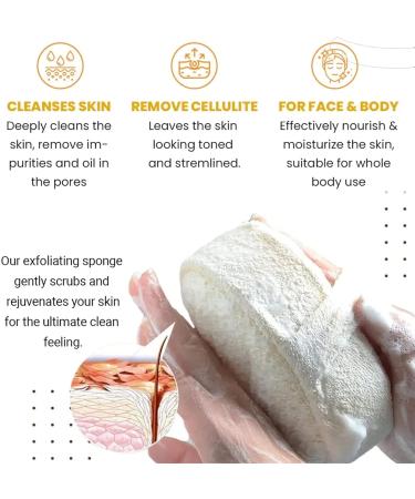 2023 Stemspa Nanocell Exfoliating Loofah Sponges - 5 Pack - Buy Online on GoSupps.com