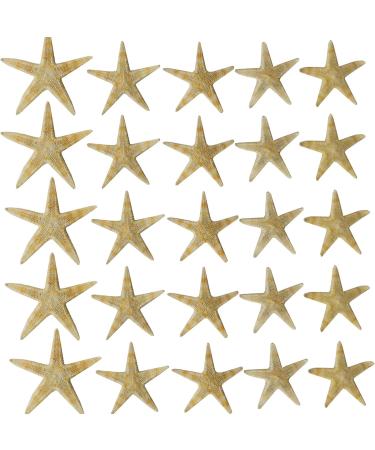 RONYOUNG 90PCS Small Starfish Star Sea Shell Beach Craft 0.4-1.2 - Buy Online on GoSupps.com