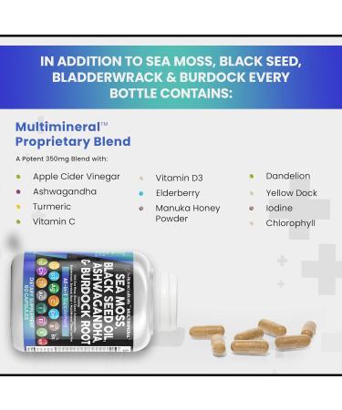 Sea Moss & Black Seed Oil Supplement - 3000mg Sea Moss 2000mg Black Seed Oil & More | 2-Pack of Ashwagandha Turmeric Bladderwrack & Vitamins for Immunity & Wellness - International Shipping Available - Buy Online on GoSupps.com