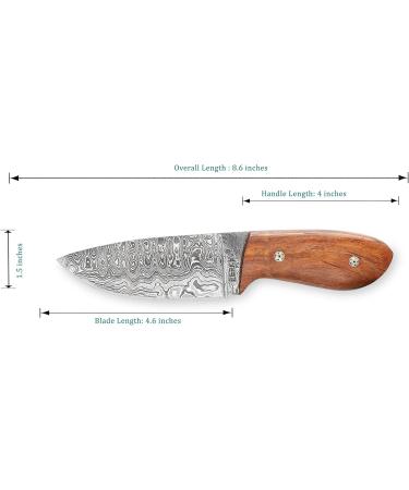 Perkin Damascus Hunting Knife - Premium Damascus Steel with Sheath | International Shipping - Buy Online on GoSupps.com