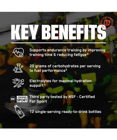 BARE PERFORMANCE NUTRITION BPN Go Gel Endurance Variety Pack 15 Single-Serving Gels + G.1.M Sport RTD Endurance Fuel Drink Lemon Lime 12 Pack | Energy Gel + Ready-to-Drink Endurance Fuel Bundle - Buy Online on GoSupps.com