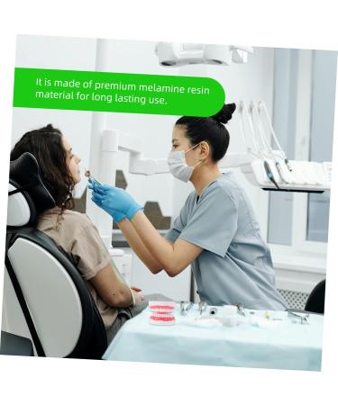 Ultechnovo 3D Tooth Model for Adult Education | Dental Teaching Model & Typodont for Dentists - International Shipping Available - Buy Online on GoSupps.com