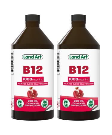 Vitamin B12 Liquid 250ml 50 Doses - Great Taste - 1000mcg - For Kids and Adults - Fast Absorption - Vegan - Non-GMO Gluten Free No Sugar Added - Made in Canada (Pack of 2) 250 ml (Pack of 2)