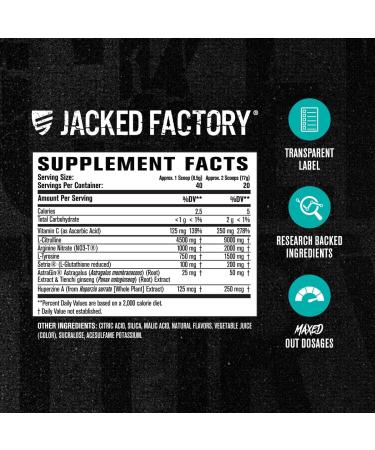 Jacked Factory Pumpsurge Max Stim Free Pre Workout - High-Performance Caffeine Free Pre Workout with L-Citrulline N03-T Arginine Nitrate & Glutathione - 40 Servings Cherry Limeade - Buy Online on GoSupps.com