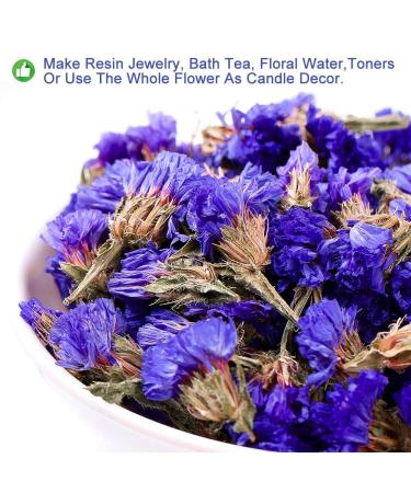 Buy Forget-Me-Not Flower Tea | Dried Myosotis Sylvatica | Herbal Health & Skin Care | 30g | International Shipping - Buy Online on GoSupps.com