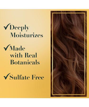 Herbal Essences bio:renew Sulfate-Free Honey & Vitamin B Shampoo and Conditioner Set 600 mL (Pack of 2) Value Pack - Buy Online on GoSupps.com