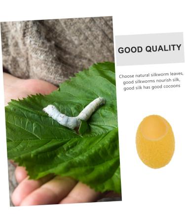 Healeved Natural Silk Facial Cleanser Cleansing Silk Beauty Cleansing Organic Facial Care 27x2cm yellow - Buy Online on GoSupps.com