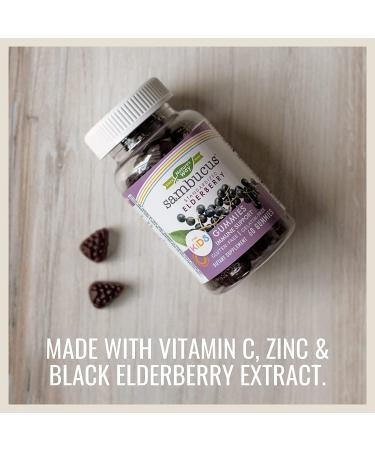 Nature's Way Sambucus Gummies for Kids - Standardized Elderberry, 60 Count - Buy Online on GoSupps.com