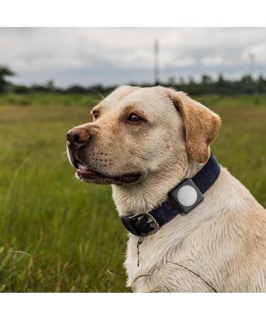 Supmega Airtag Dog Collar Holder - Waterproof Metal Cover for Dogs & Cats - Anti-Loss Airtag Accessories (Black) - Buy Online on GoSupps.com