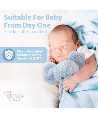 Blue Elephant Teddy Cuddly Toy for Babies | Baby Box Shop - Buy Online on GoSupps.com