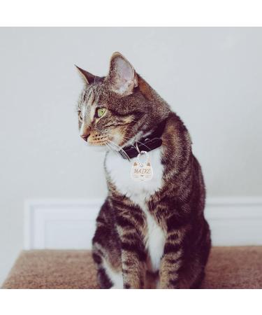 Personalizable Silver Cat Tags with Engraving - Cute Cat Face Pendant by CAMAL | International Shipping - Buy Online on GoSupps.com