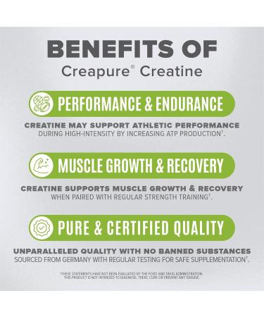 BIRDMAN High-Purity Creatine Monohydrate Unflavored Powder - Premium Pre-Workout Supplement | 600g - Boost Performance & Energy - Buy Online on GoSupps.com