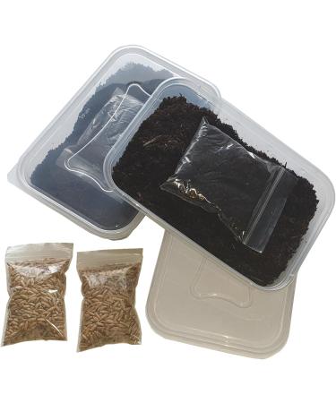 Pet Grass 2 pack By Cat FurNature - Buy Online on GoSupps.com