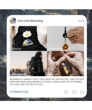 IELCJJ Original 1 Year Sobriety Coin - Road Signs One Year Sobriety Chip Reborn from Storm AA Chips and Medallions Colorful Sober Token NA Alcoholics Anonymous Sobriety Gifts for Men Women - Buy Online on GoSupps.com