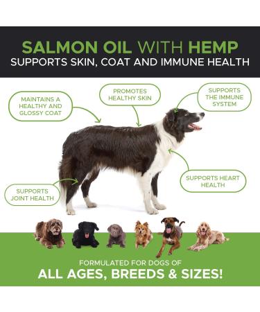 PetHonesty Wild Alaskan Salmon Oil for Dogs 16 Fl Oz - Omega-3 Liquid Supplement for Joint, Brain, and Heart Health - Reduces Shedding & Itching - EPA + DHA Fatty Acids - Buy Online on GoSupps.com