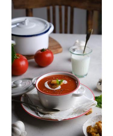  LA BIO IDEA BIO IDEA Tomato Pieces Pack of 12 (12 x 400 g) - Organic Tomatoes - Buy Online on GoSupps.com