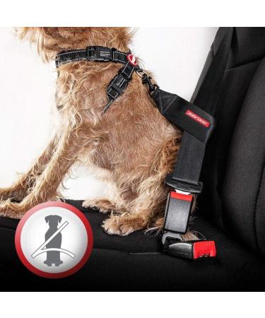 EZYDOG Classic Chest Plate Harness | Small Black Dog Harness with Reflective Stitching - No Pull and Breathable - Buy Online on GoSupps.com