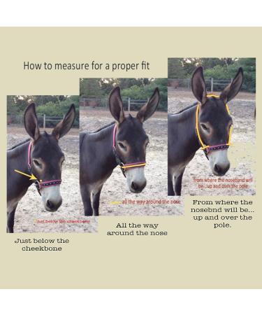 HalterUp Miniature Horse Foal Halter and Lead Rope - Stylish Black Halter for Mini Horses up to 6 Months - Buy Online on GoSupps.com