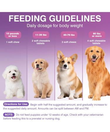Probiotics for Dogs Dog Probiotic Chews and Digestive Enzymes Prebiotic Health Gut Itchy Skin Probioticos Itching Diarrhea Chew Supplements Canine Pet Prebiotics 200 Natural Soft Chewable Tablets - Buy Online on GoSupps.com