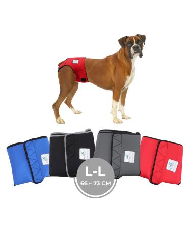 Financial trousers for bitches 2.0 - dog diapers made of high -quality perforated neoprene for an optimal air exchange - dog diapers for male without the annoying threading of the rod (L -L red) red L -L