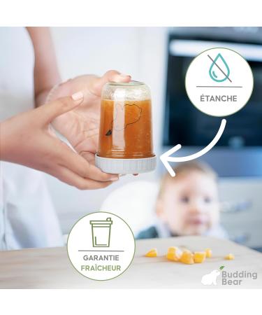 Budding Bear Small Glass Baby Storage Jar 240 ml (Pack of 6) - Reusable Baby Food Pot Dishwasher Freezer Microwave (No Lid - Buy Online on GoSupps.com
