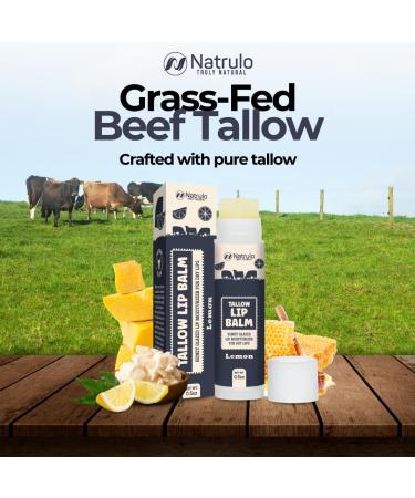 Beef Tallow Lip Balm Natural Tallow Beeswax Chapstick Hydrating Moisturizer Grass Fed Bison Tallow Balm Lip Care Soothes Chapped Dry Lips Sensitive Skin Long Lasting & Vitamin Rich USA-Made - Buy Online on GoSupps.com