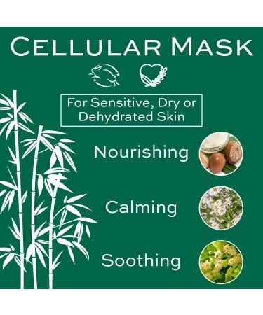 Christine Valmy Super-Hydrating Cellular Face Mask - 1oz | Premium Skincare for All Skin Types - International Shipping Available - Buy Online on GoSupps.com