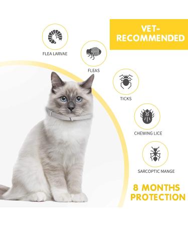 2 Pack Natural Collar for Cats | 8 Months Protection | Adjustable, Waterproof, & Includes Comb | One Size Fits All - Buy Online on GoSupps.com